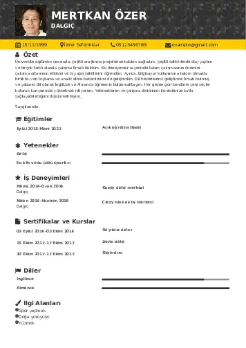 Dalgıç CV Örnekleri cv indir